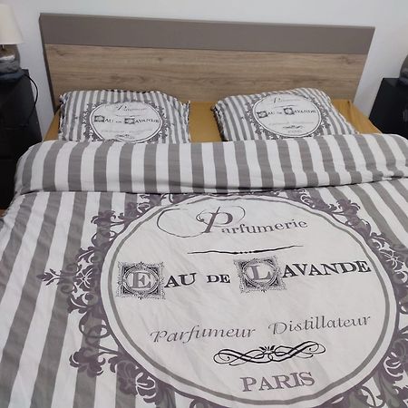 Mirebeau-sur-Beze Grand Appartement Chaleureux מראה חיצוני תמונה